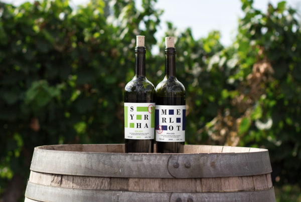 Wine Bottles Mockup