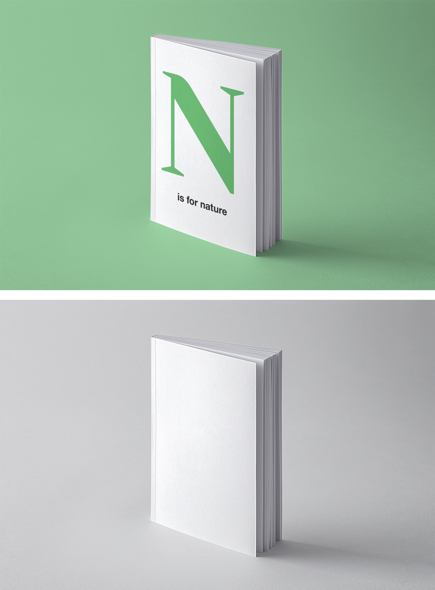 Book Perspective Mockup