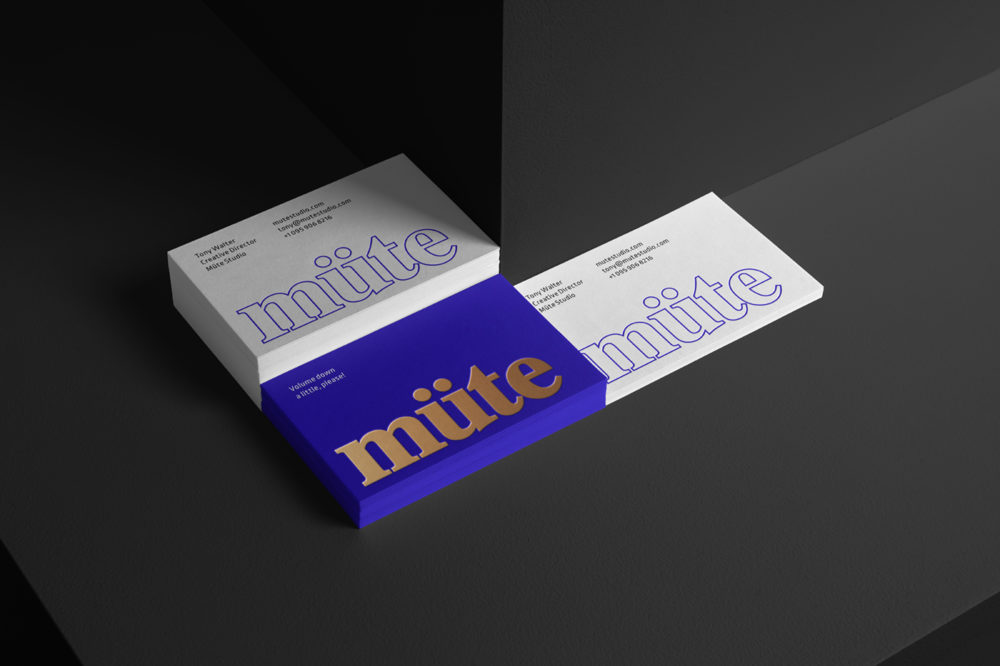 Business Card Mockups 21 BUCM