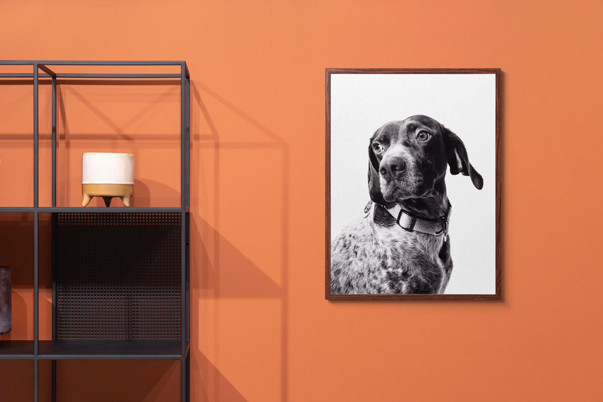 Frame Mockup