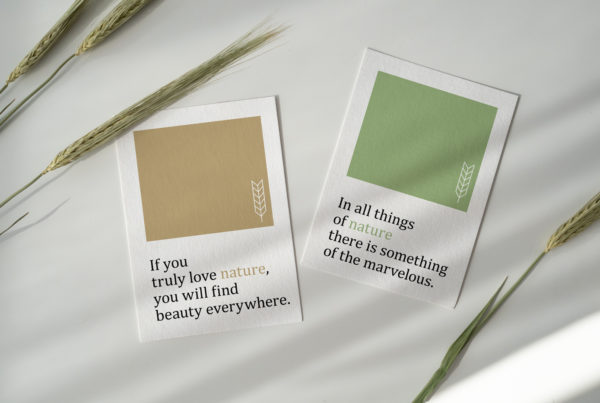 Cards Mockup