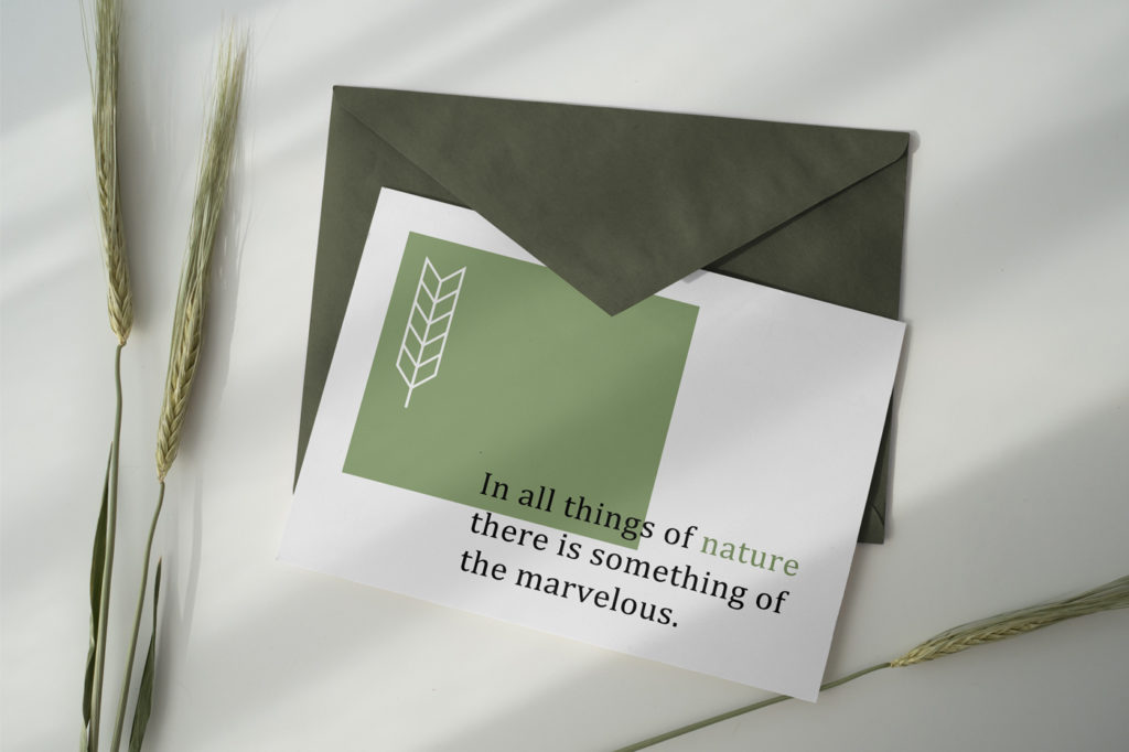 Postcard Mockup