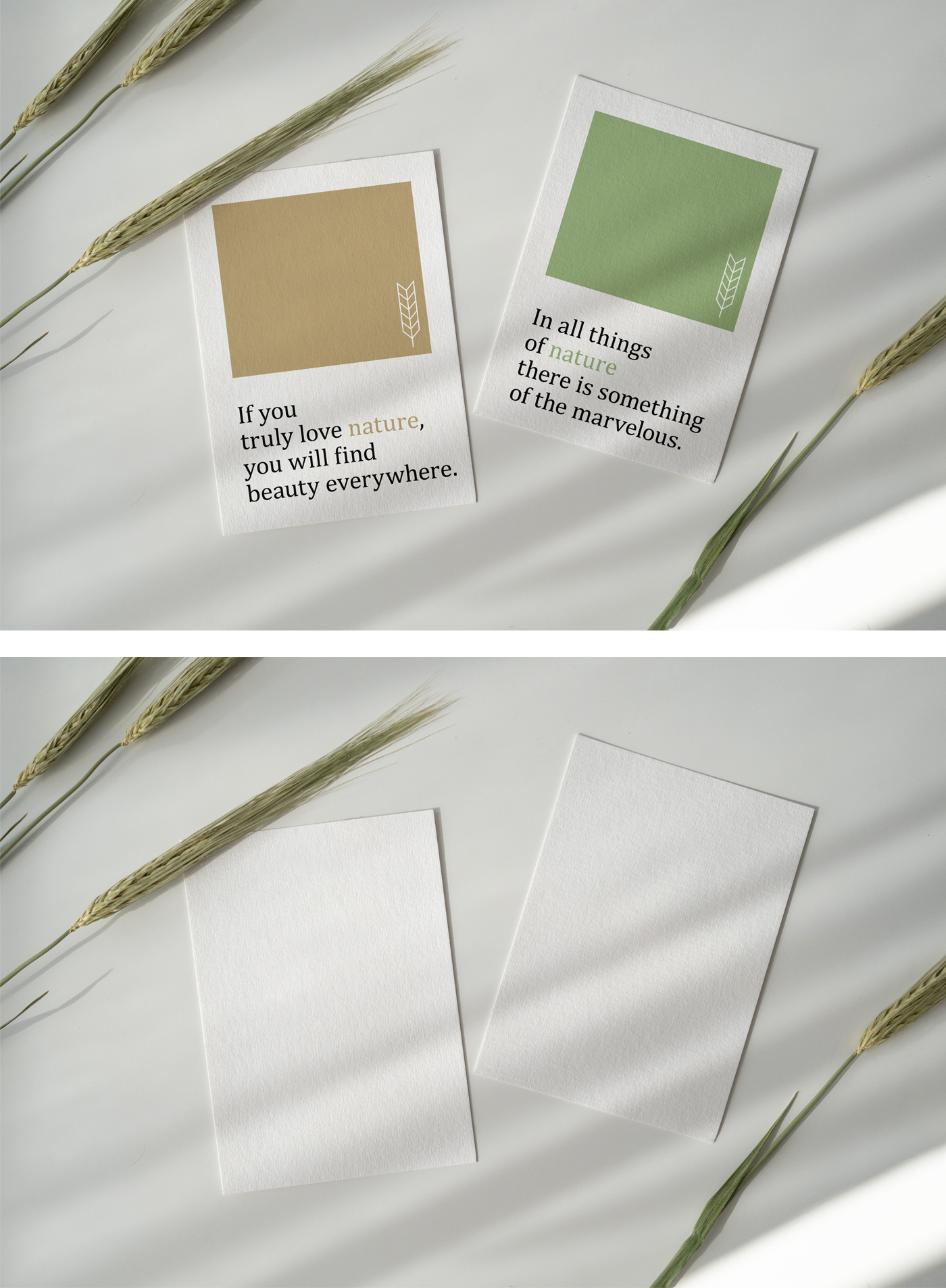 Cards Mockup