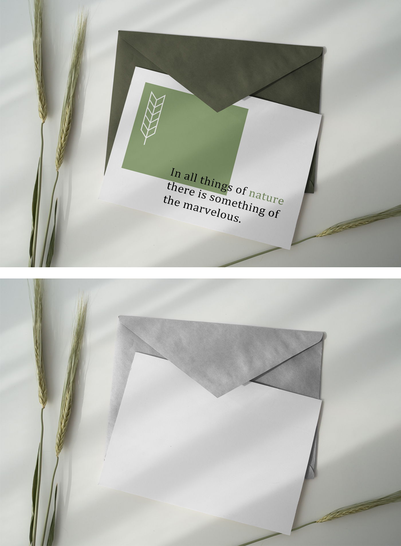Postcard Mockup
