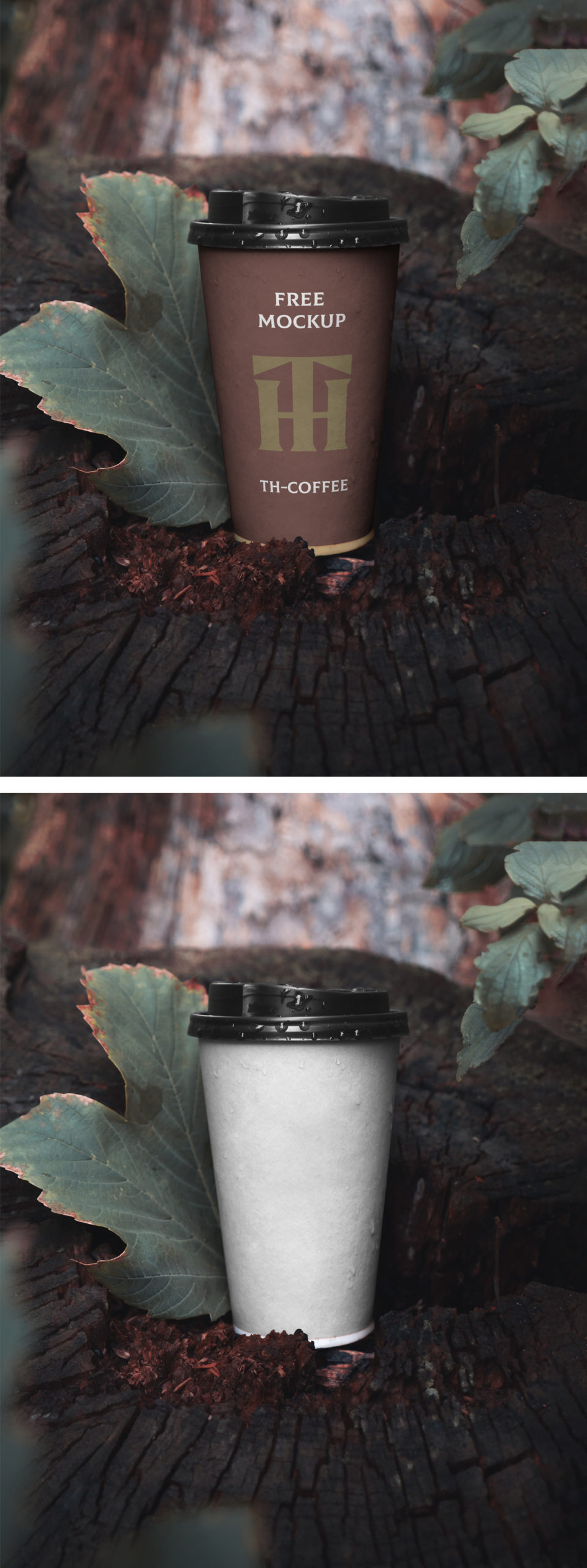 Paper Cup PSD Mockup