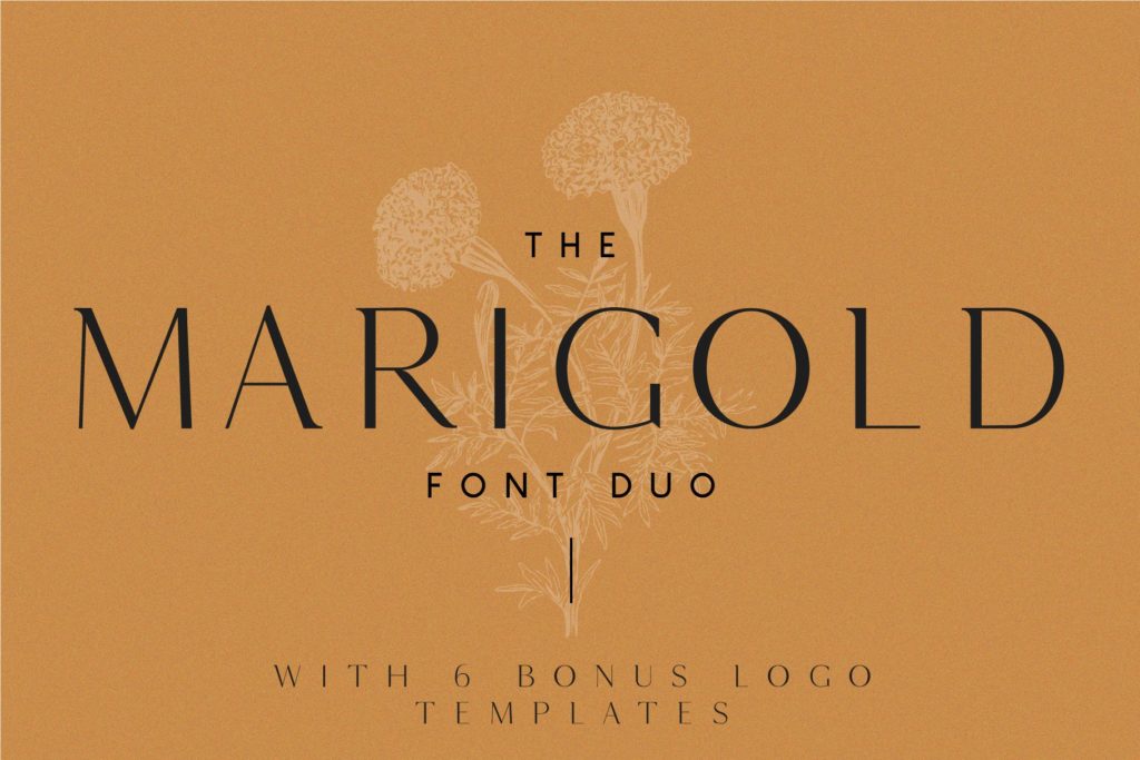 marigold_font_previews-09