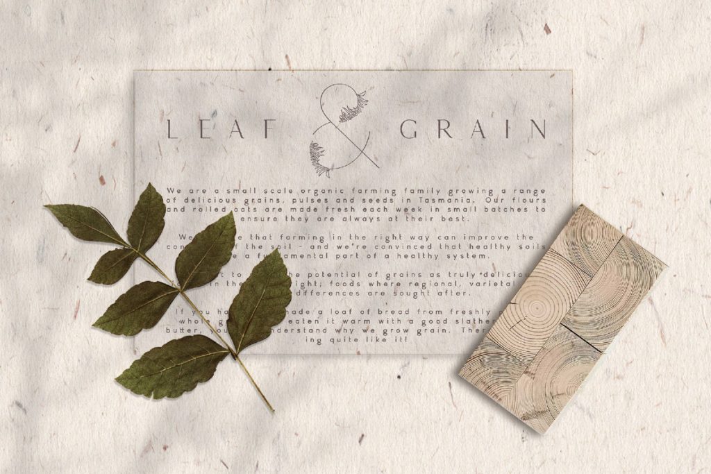 marigold_font_previews-10