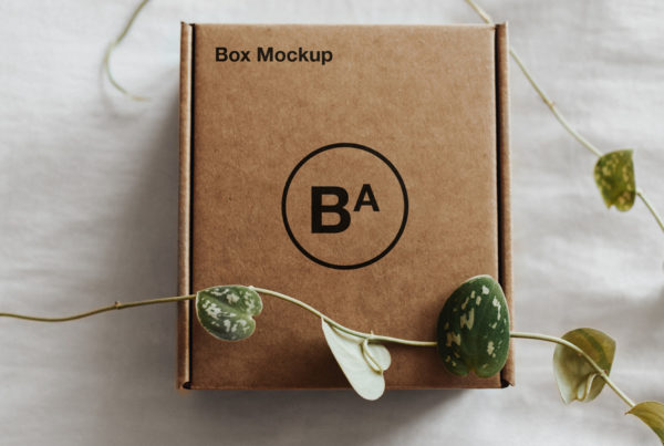 Craft Paper Box Mockup