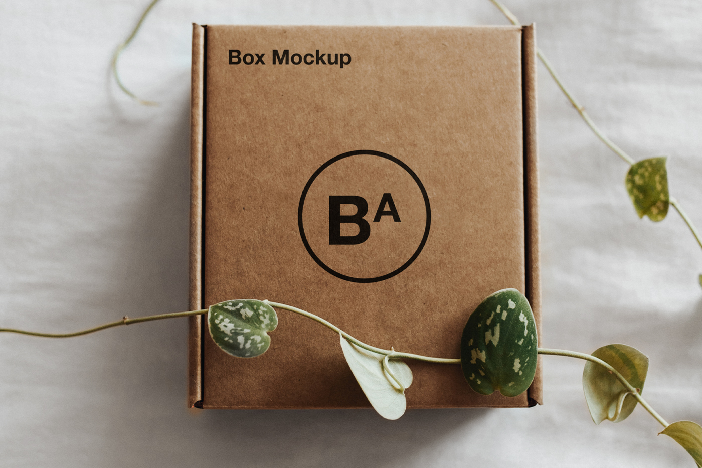 Download Craft Paper Box Mockup Mr Mockup Graphic Design Freebies