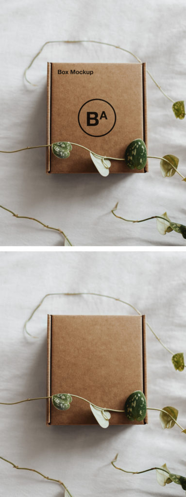 Download Craft Paper Box Mockup — Mr.Mockup | Graphic Design Freebies