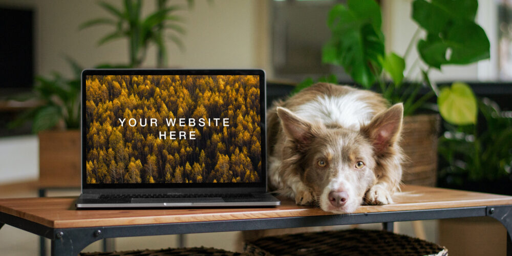 MacBook with Dog Mockup