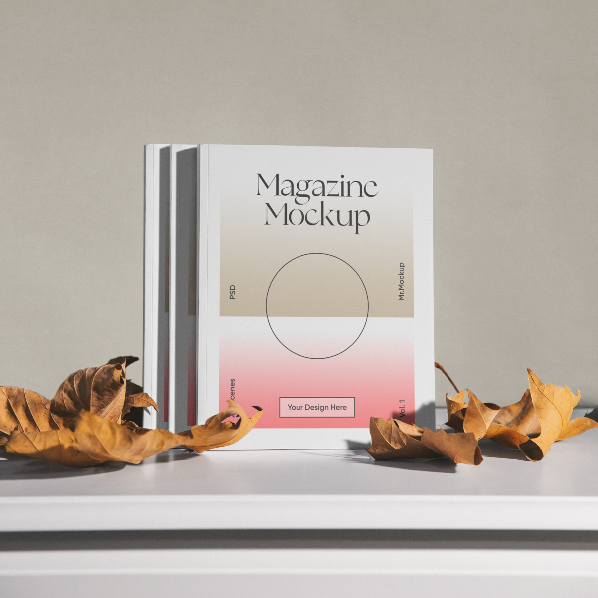 Three Magazine Mockups MMV1
