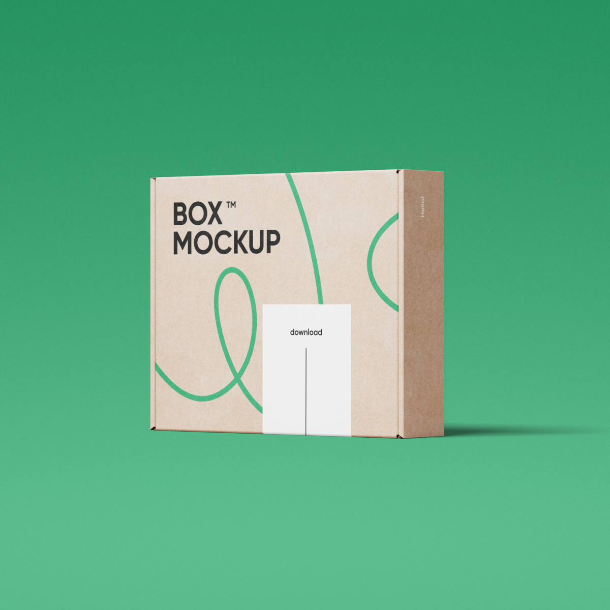 Box Mockup 06 BXM