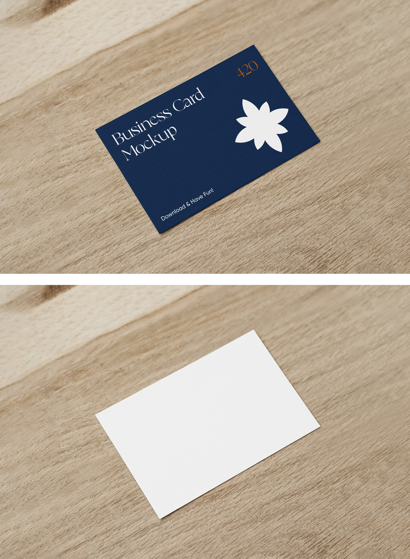Business Card PSD Mockup