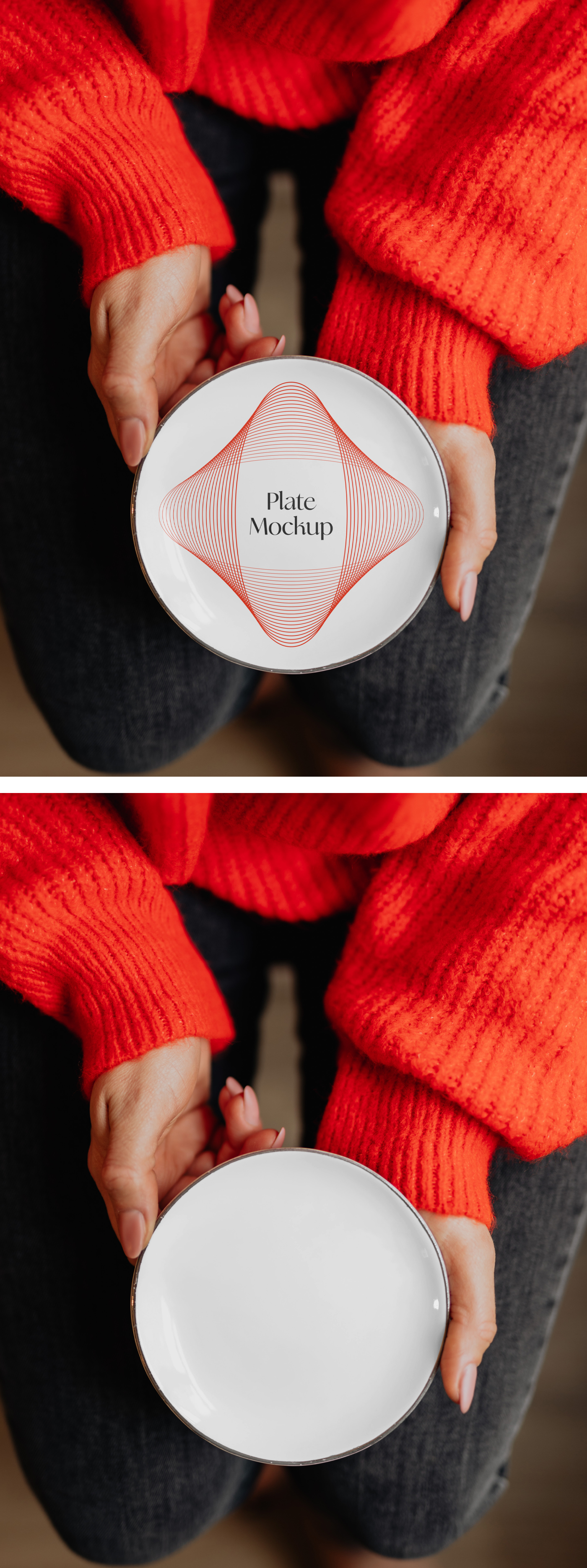 Plate Mockup