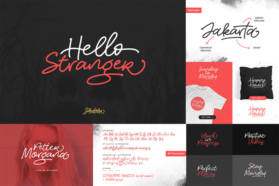 Elegant & Timeless Font Bundle — PSD Mockups & Freebies | Mr.Mockup