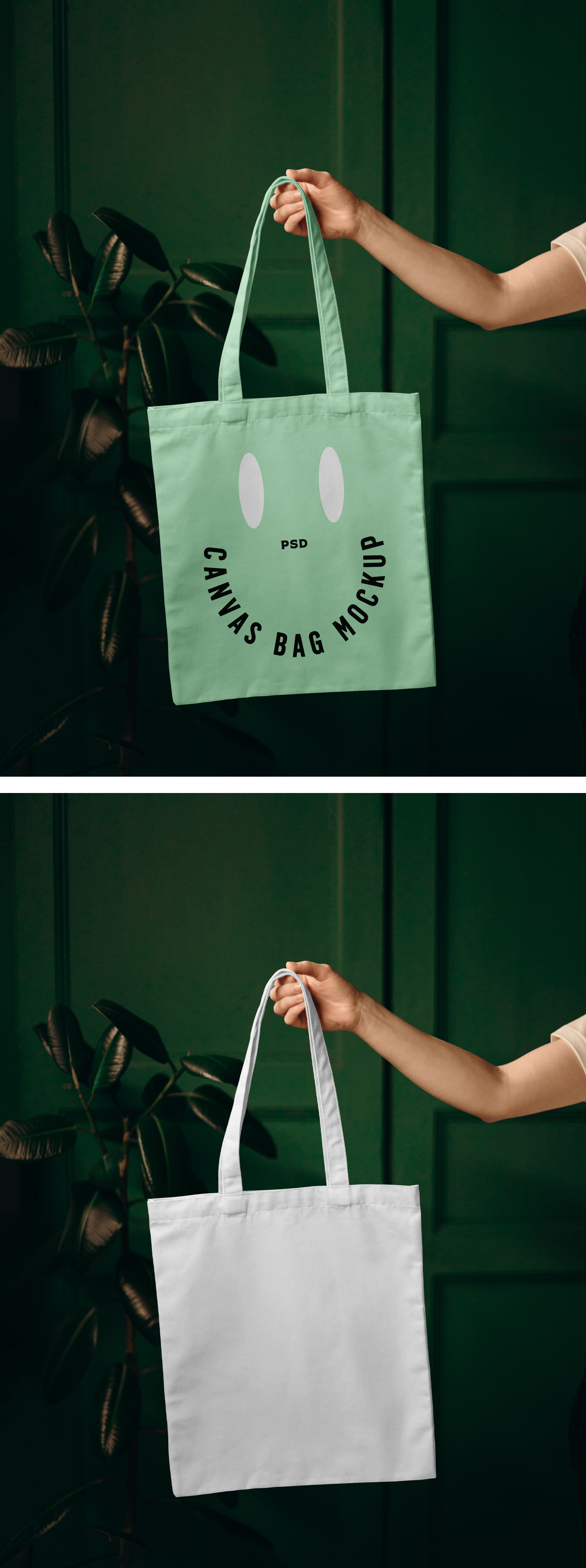 Canvas Bag in Leaving Room Mockup