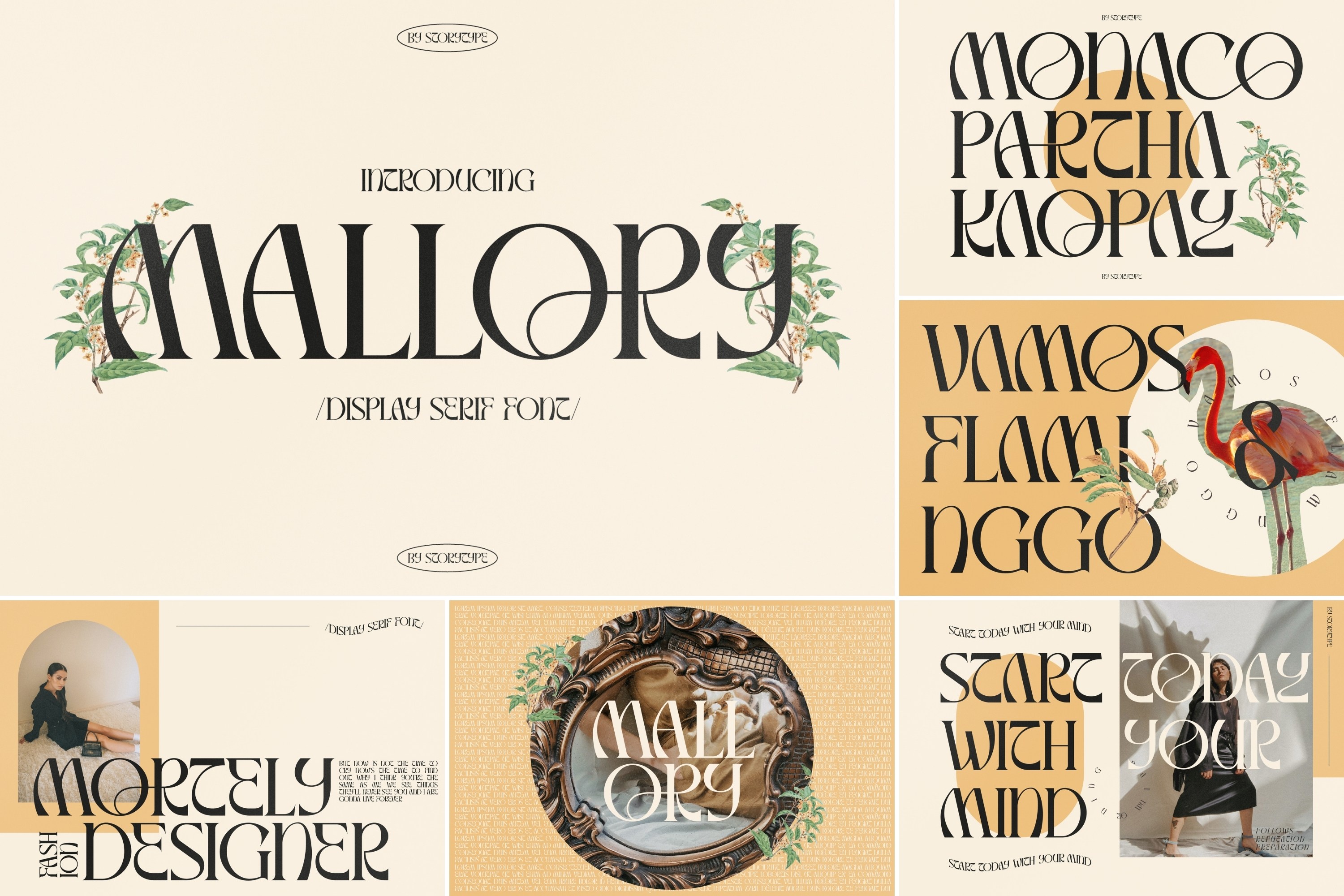 The Modern Display Font Bundle