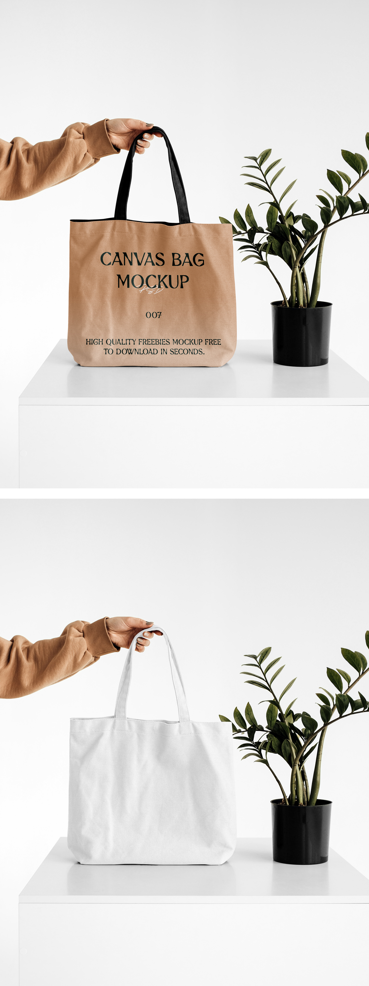 Free Shopping Bag with Box Mockup on Behance