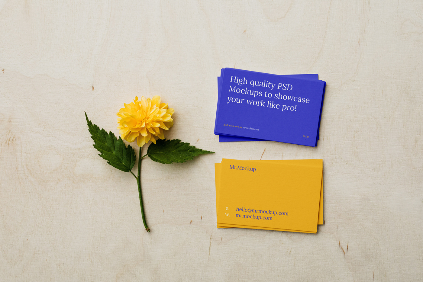 Business cards lying on plywood next to a yellow flower