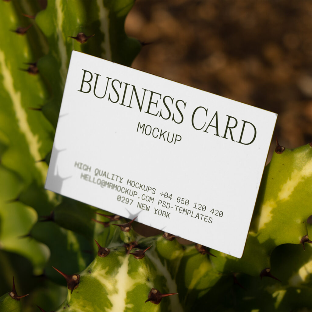 Free Business Card Mockup among cactus against garden background.