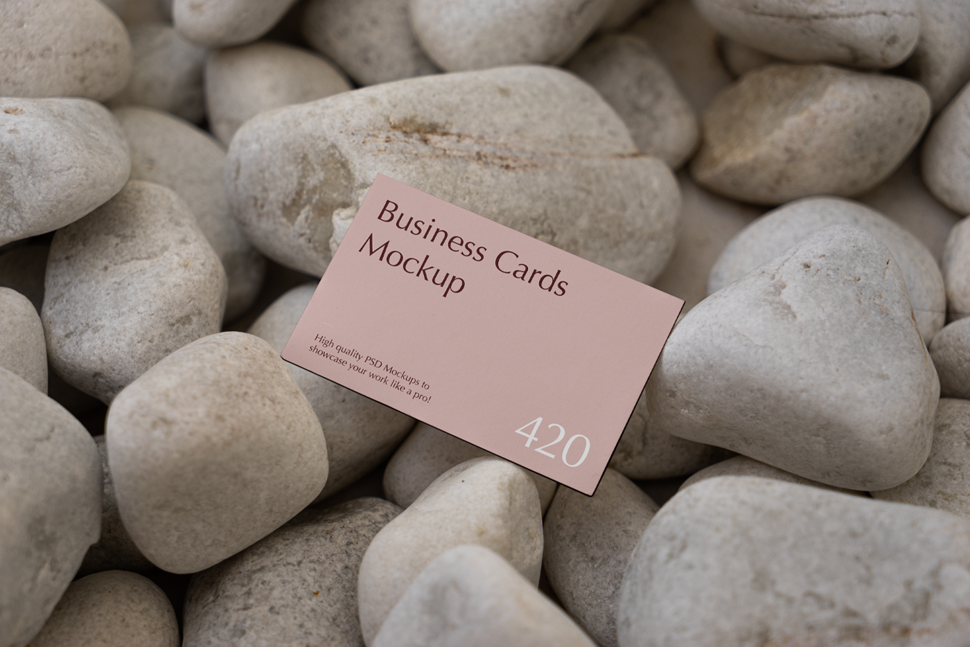 Free Business Card Mockup among stones background.