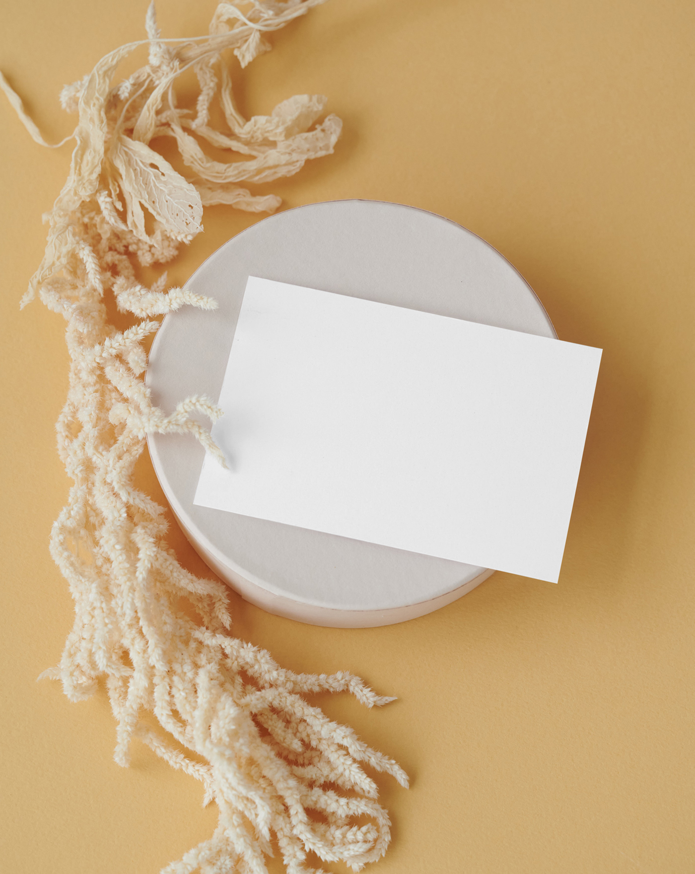 Blank Card in different looks seen from front based on the plastic figures.