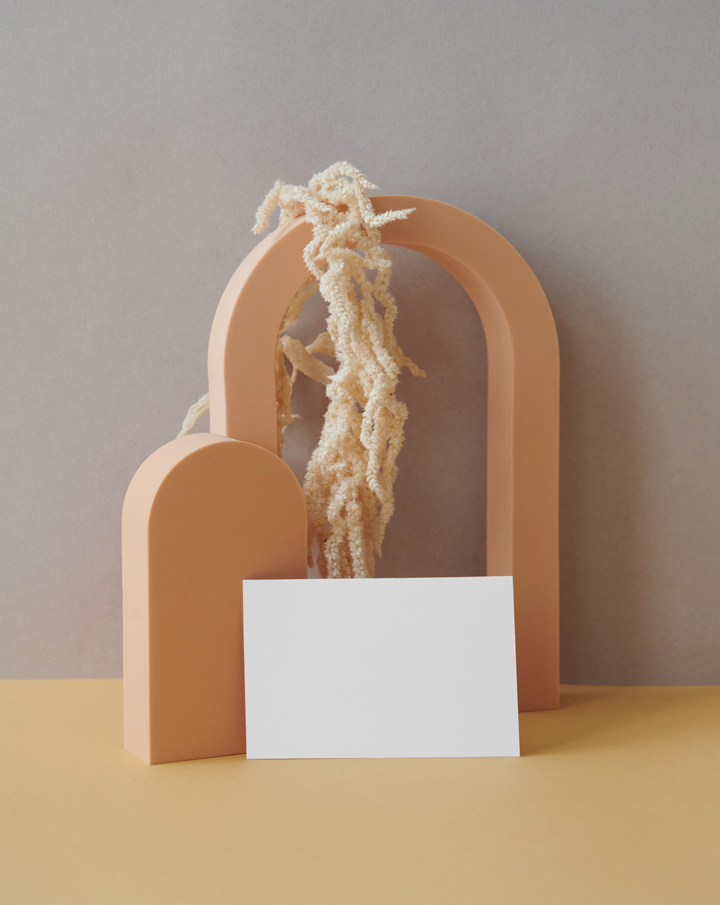 Blank Card in different looks seen from front based on the plastic figures.