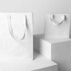 Seen from the front, Composition with Two Blank Paper Shopping Bags Branding Mockups standing on the white cubic against a white background.