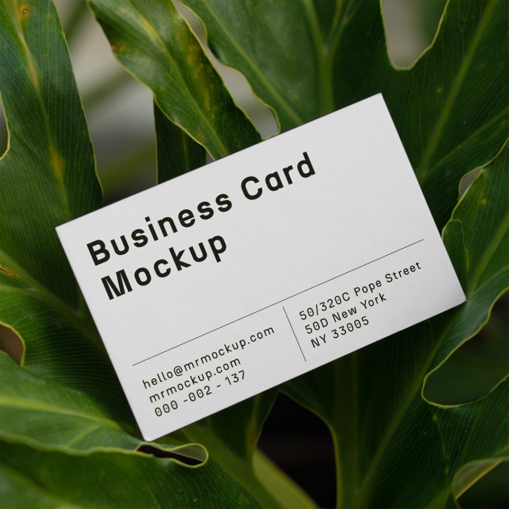 Free Business Card Mockup seen from the front between ficus flower.