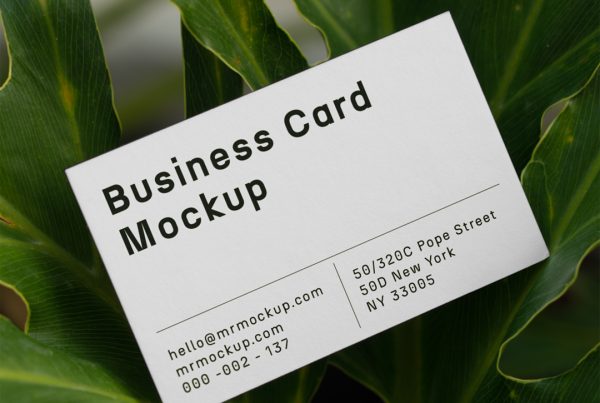 Free Business Card Mockup seen from the front between ficus flower.