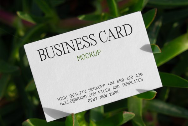Free Business Card Mockup seen from the front between succulent flower.