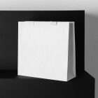 The Blank Decorative Paper Bag Branding Mockups Kit, seen from the front, is standing on the black wooden stairs.