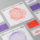 A set of Branding Mockups like Business Cards and Square Cards presented in an interesting composition with colorful design laying on the gray floor and seen from the above.