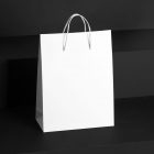 Blank Shopping Bag Branding Mockups Kit seen from front and located on the black wooden stairs.