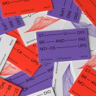 Scattered Business Card Branding Mockups on the floor with colorful design seen from the above.