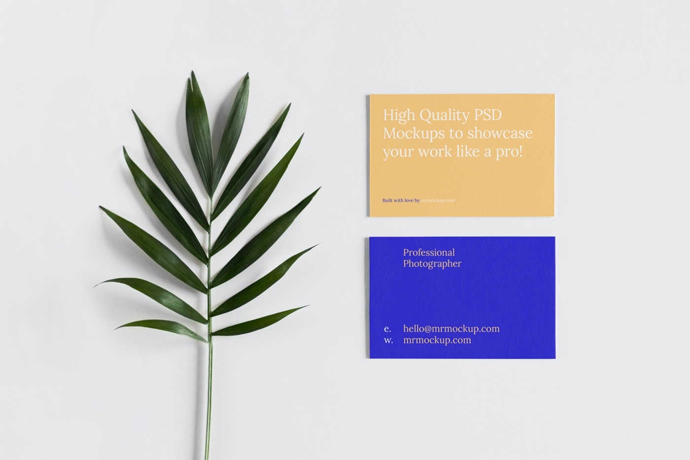 Front view, Free Business Card with Leaf Mockup in yellow and blue colors laying on the bright gray floor with a sprig of a houseplant.