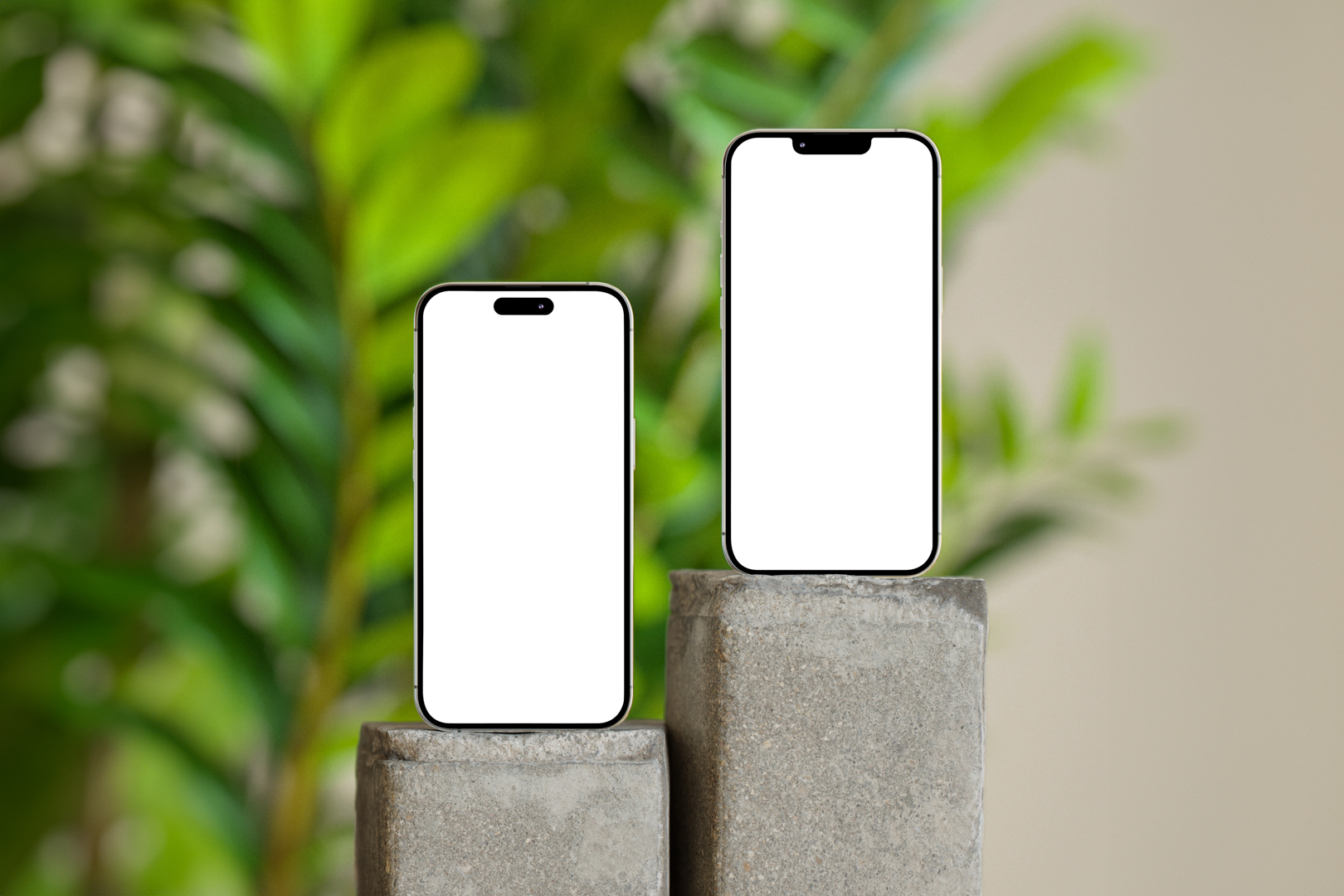 Front view, two blank iPhone 14 Pro Mockups standing on the square piece of concrete against monstera flowers and beige wall.