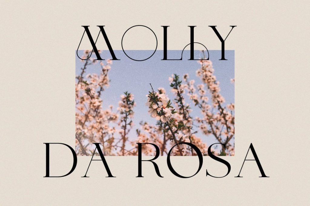 montecarlo_previews-03