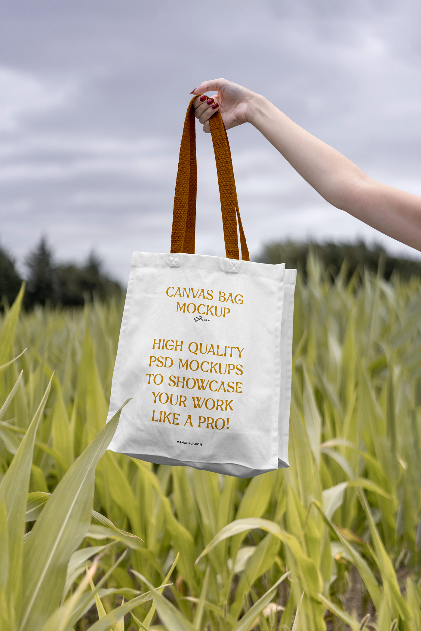 Front view, cotton bag mockup holding by women around nature.