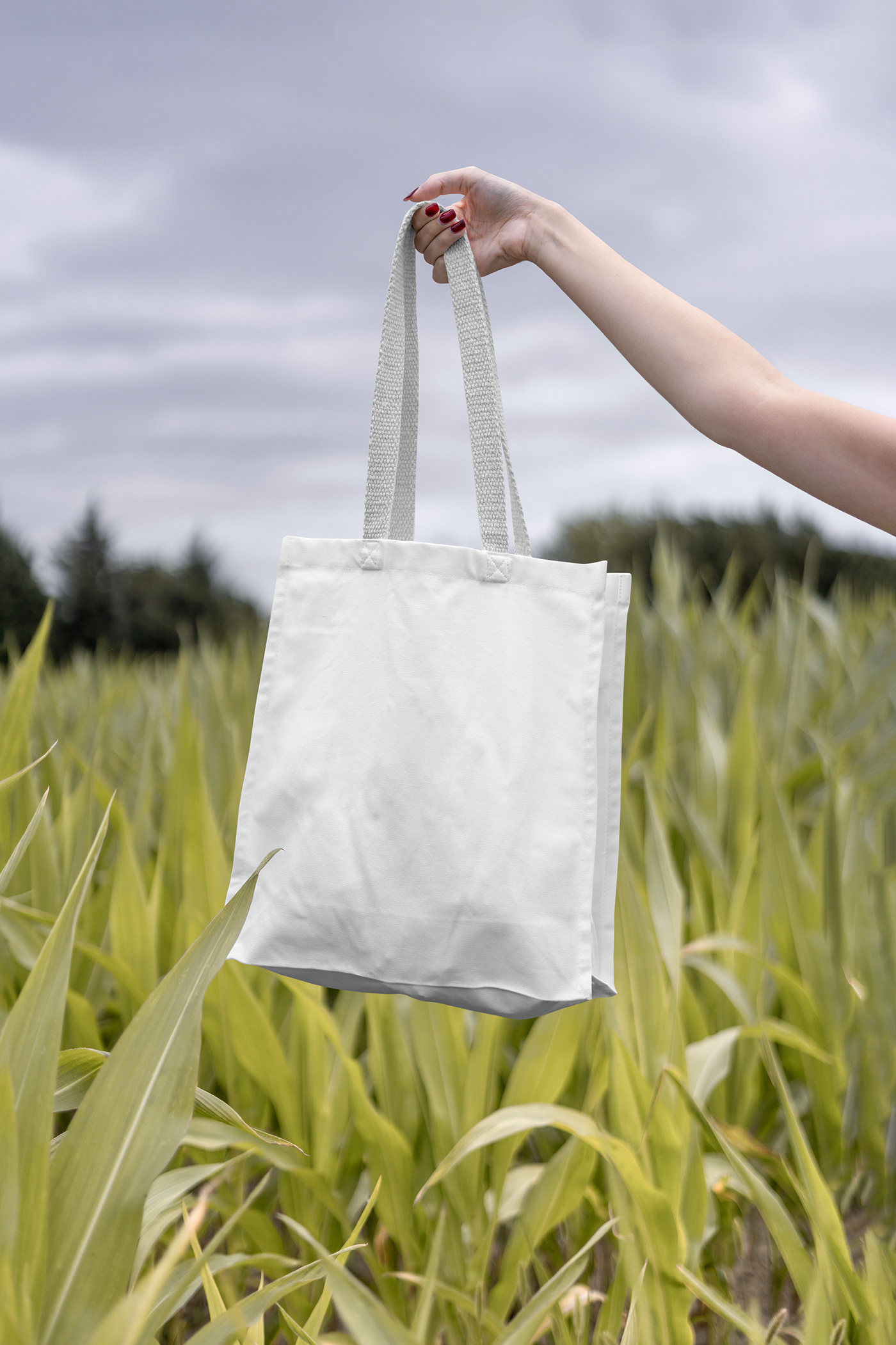 Front view, blank cotton bag mockup holding by women around nature.