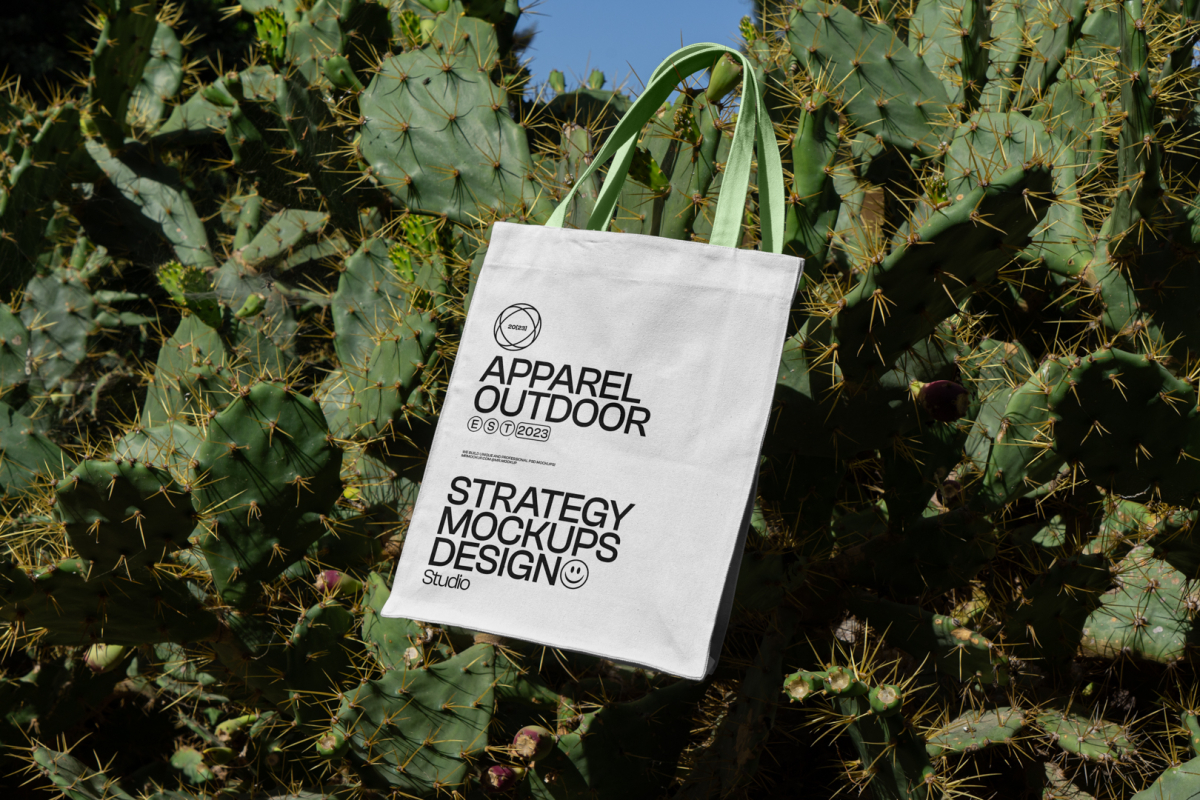 White canvas bag with green handle hanging on the cactus.