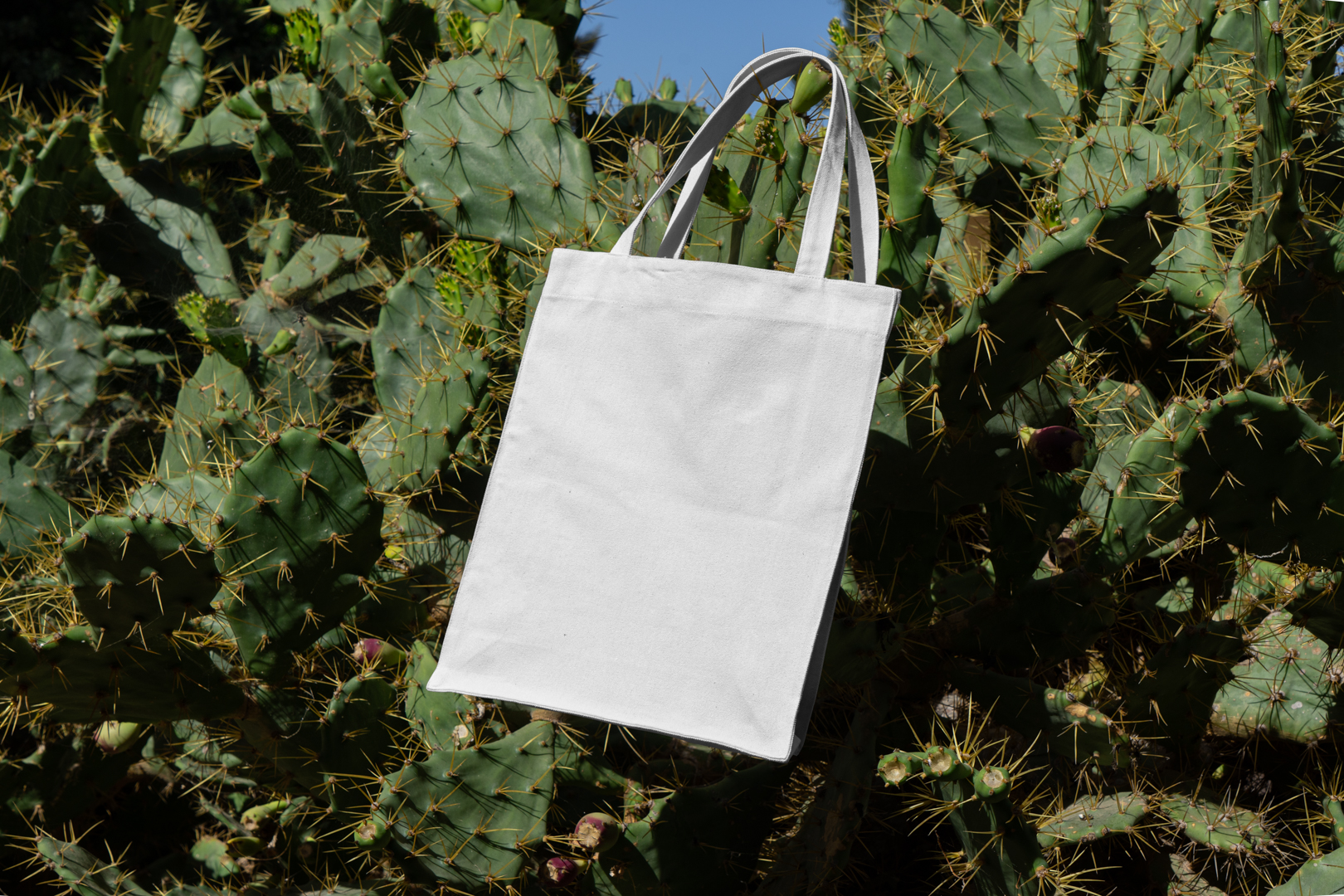 Canvas bag hanging on cactus from outdoor apparel mockups vol.2.