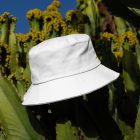 Bucket hat laying on cactus from outdoor apparel mockups vol.2.