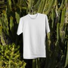 T-shirt hanging on cactus from outdoor apparel mockups vol.2.