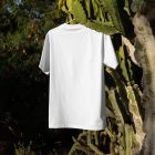 T-shirt with hanger hanging on the cactus from outdoor apparel mockups vol.2.