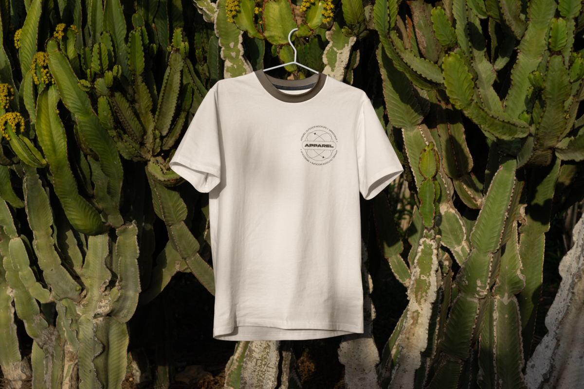 Brown t-shirt with hanger hanging on the big cactus.