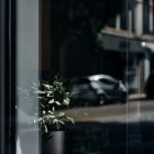 Front view, at an angle of 45 degrees, part of window from storefront mockups product.