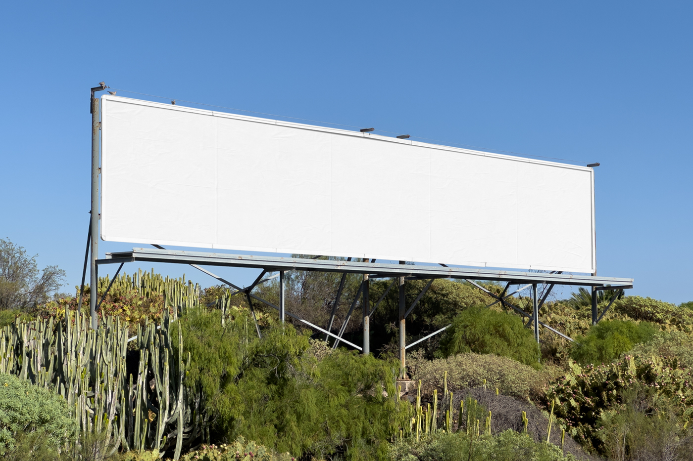 Front view, white horizontal billboard mockup with silver frame between trees.