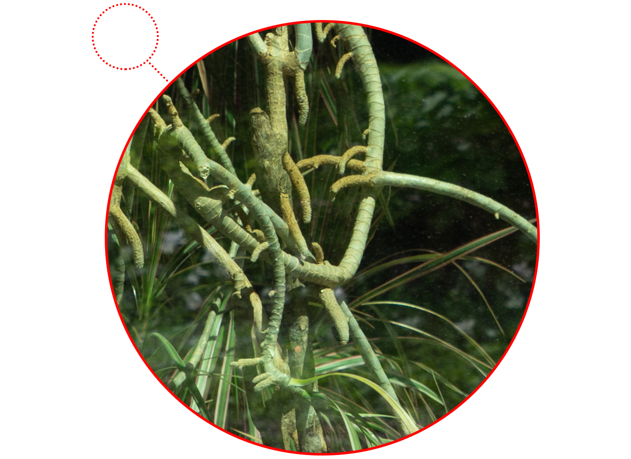 Feature from storefront mockups showing the high quality of the new product.